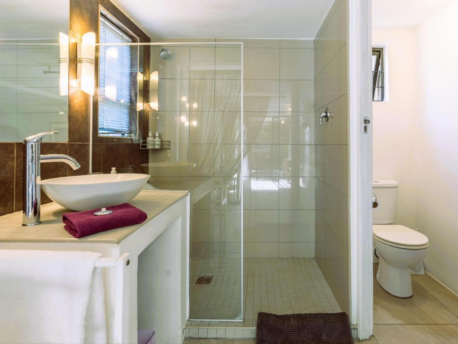 Absolute Bosch Guest House ステレンボッシュ 部屋 写真